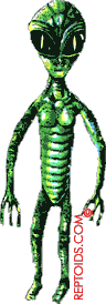 repgreysmall.gif (7017 bytes)