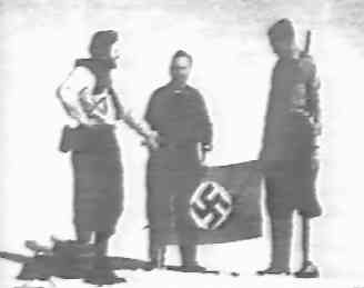 antarc25.jpg (5554 bytes)