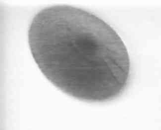 vril7a7.jpg (3232 bytes)