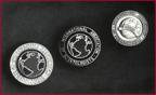 International Association of Scientologists Pins
